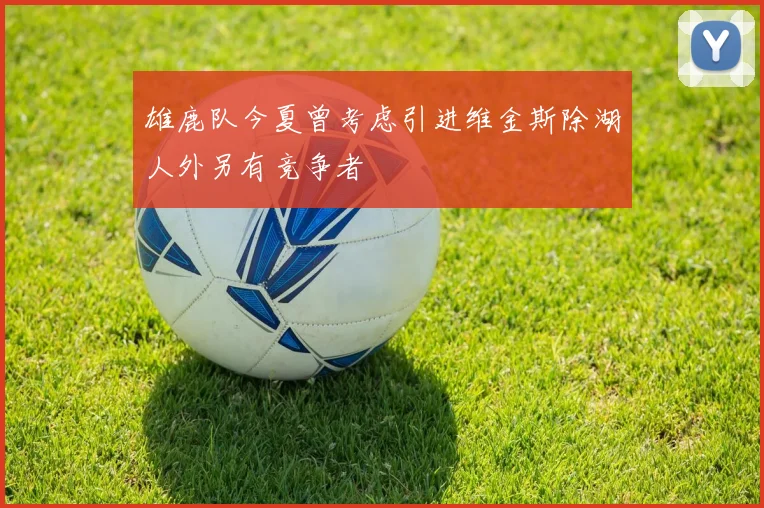 雄鹿队今夏曾考虑引进维金斯除湖人外另有竞争者