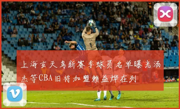 上海玄天鸟新赛季球员名单曝光汤杰等CBA旧将加盟赖益烨在列