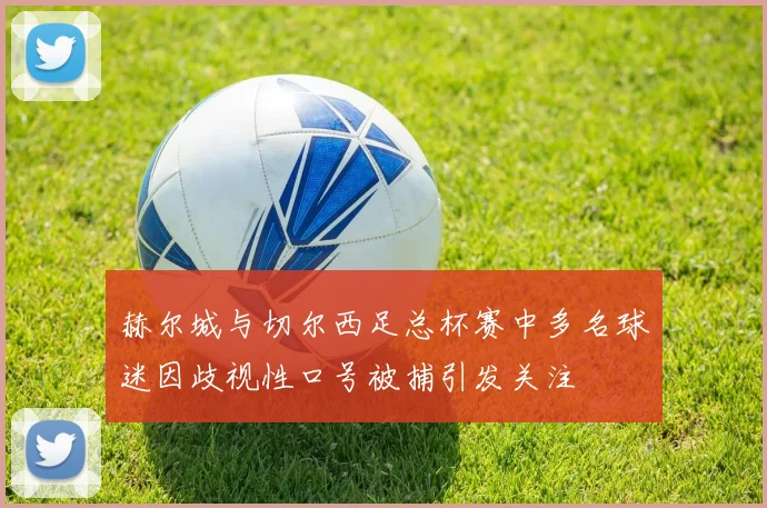 赫尔城与切尔西足总杯赛中多名球迷因歧视性口号被捕引发关注